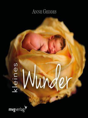 cover image of Kleines Wunder